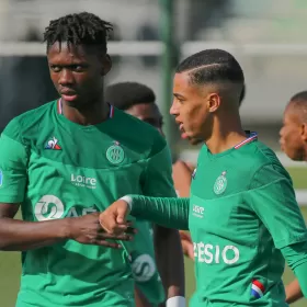 Deux Verts avec les Bleuets