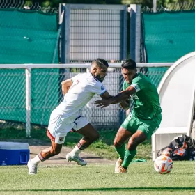 Les Verts pas récompensés !