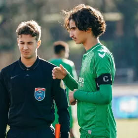 Des Verts solides leaders
