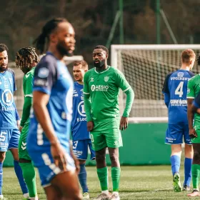 Les Verts piégés par Domérat