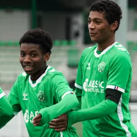 Trois Verts chez les Bleuets