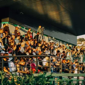 Les informations &agrave; conna&icirc;tre avant ASSE - Le Havre au stade Aim&eacute;-Jacquet !	