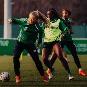 Les Vertes, de retour en s&eacute;ance !