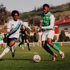 En demi-teinte, les Verts s'inclinent