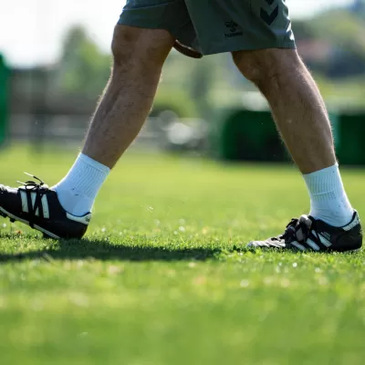 Le programme de la reprise des Verts