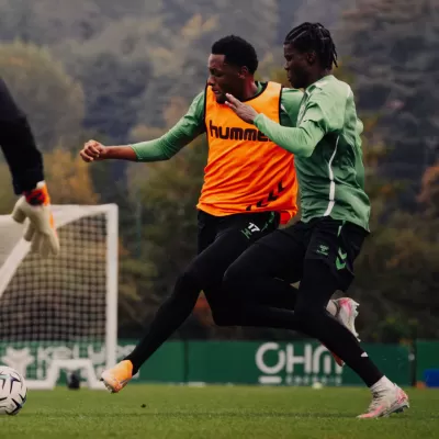 Un mercredi d'opposition pour les Verts !