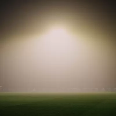 La rencontre des Vertes interrompue et reportée