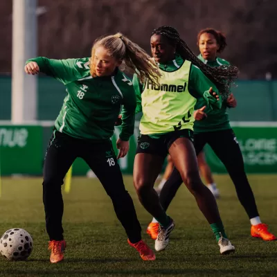 Les Vertes, de retour en s&eacute;ance !