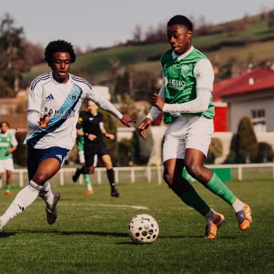 En demi-teinte, les Verts s'inclinent