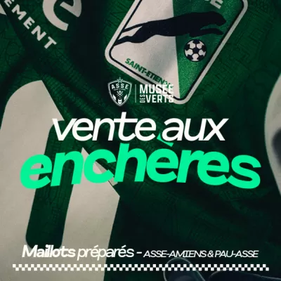 Le Mus&eacute;e des Verts organise sa vente aux ench&egrave;res annuelle