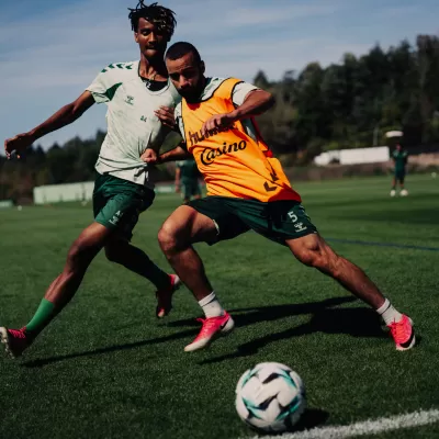Nouvelle semaine pour les Verts !