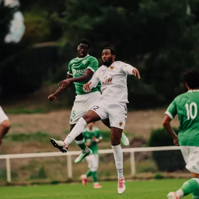 Des Verts enfin r&eacute;compens&eacute;s !
