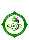 Logo de Romorantin