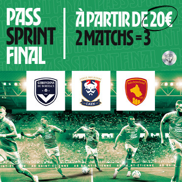 Match AS Saint-Étienne - Le Mans UC 72, 21e journée Ligue 1 (2008-2009