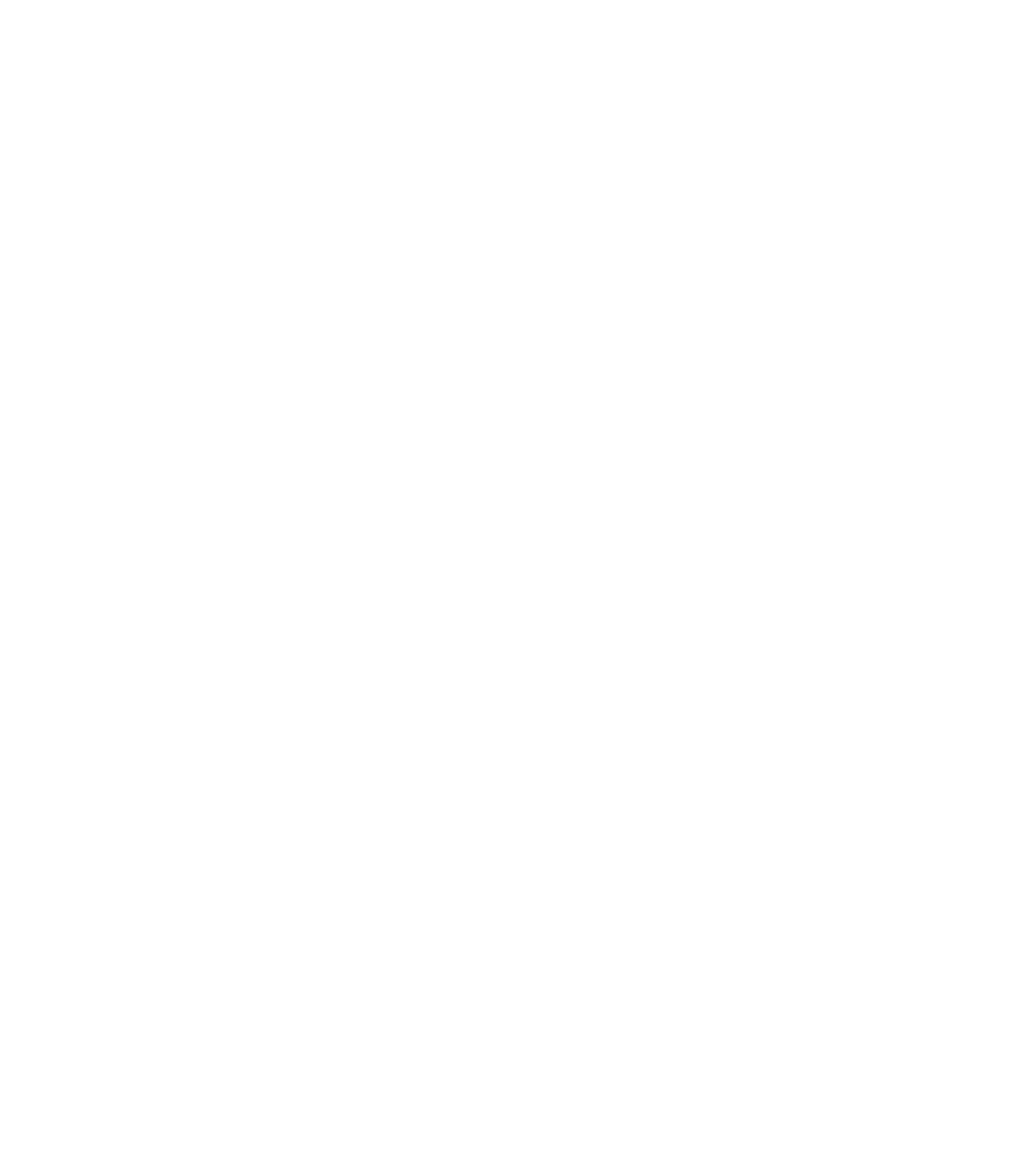 Logo du Quartier Villebœuf