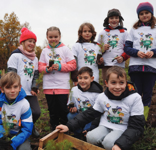 L'une des nombreuses plantations d'arbres